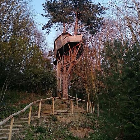 Sherwood Tree Etretat Bagian luar foto
