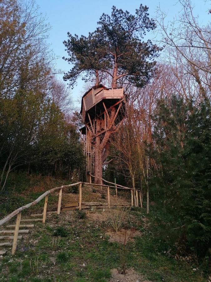 Sherwood Tree Etretat Bagian luar foto