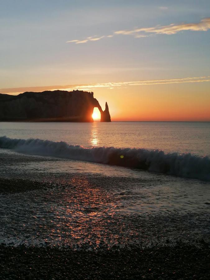 Sherwood Tree Etretat Bagian luar foto