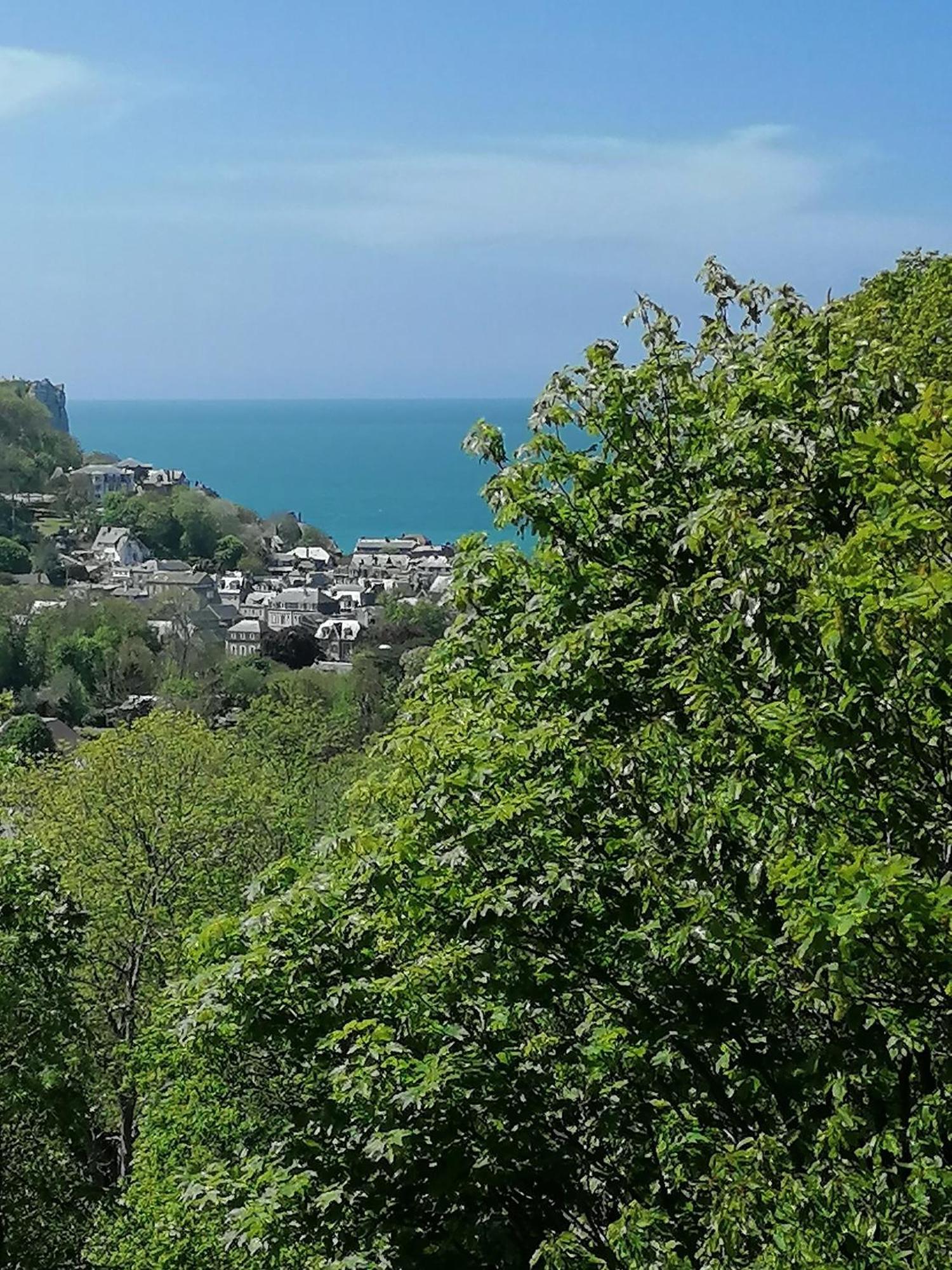Sherwood Tree Etretat Bagian luar foto